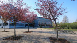 Foto av entrén till biblioteket i Forshaga Lärcenter. Blommande träd utanför.